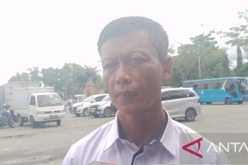 Pemkab Jayapura imbau warga maksimalkan lahan pekarangan menanam cabai