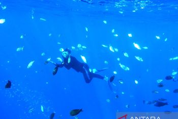 Pemkab Bone Bolango berencana menata objek wisata Olele