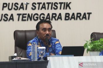 Produksi padi di NTB tahun ini diperkirakan turun 5,53 persen