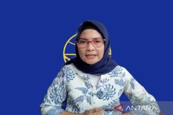 Kemenhub bilang jumlah pesawat mulai pulih usai sempat turun