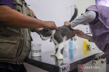 Vaksinasi rabies gratis di Banten