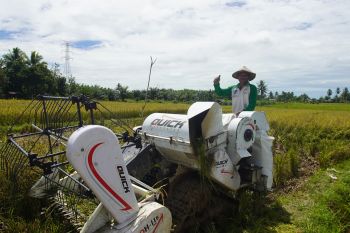 Pertumbuhan Kredit Disalurkan Perbankan di Kaltara Meningkat 12,43 Persen