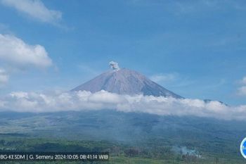 Gunung Semeru erupsi dengan letusan setinggi 500 meter di atas puncak