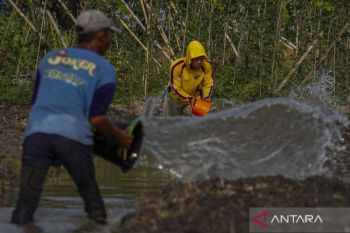 Nilai tukar petani Banten meningkat