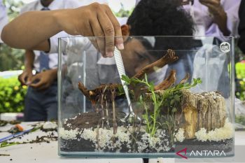 Lomba membuat aquascape di Tangerang