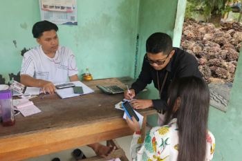 Sasar pengusaha sawit, Tim Pajak Siak kumpulkan data di lapangan