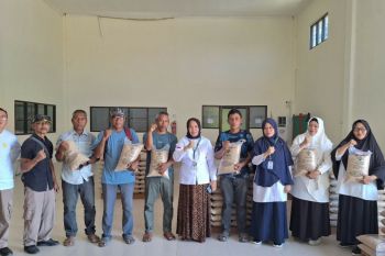 BSIP serahkan satu ton benih padi diseminasi kepada petani Mamuju