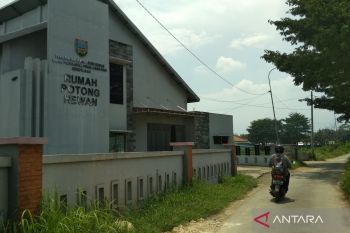 Dispertan Kudus dampingi  rumah potong hewan urus sertifikat halal