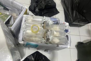 Polda Lampung gagalkan penyelundupan 149.400 benih lobster