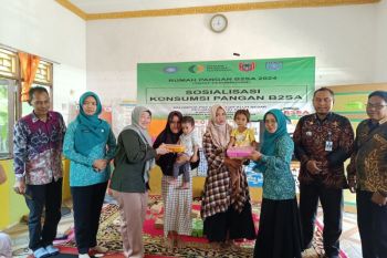 Program Rumah Pangan sasar 175 desa dengan tingkat stunting tinggi