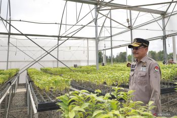 DPRD Kalsel harap Pusat PLA topang "Gerakan Revolusi Hijau" Kalsel