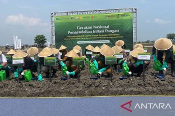 Inflasi mengancam ketika harga turun namun daya beli lesu