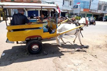 Dishub Mataram fasilitasi himpun kotoran kuda untuk diolah jadi biogas