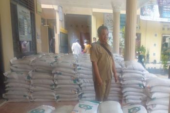 Dinas Pertanian Kulon Progo salurkan bantuan pangan kepada 57.642  KPM
