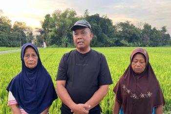 Selokan dibuka lagi, Harda Kiswaya tegaskan perlindungan petani Sleman