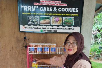 Siasat UMKM binaan PT EDI raup belasan juta di kebun kelapa sawit