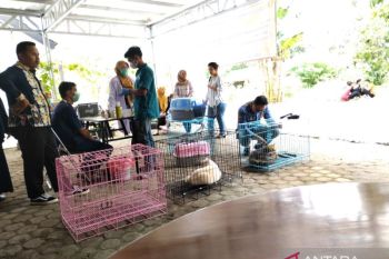Disbunnak Tabalong target vaksinasi  2.000 ekor hewan pembawa rabies