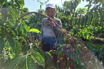 Dishut Lampung minta petani pinggir hutan urus izin pengelolaan hutan