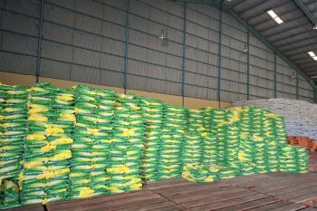 Bulog Lampung sebut stok beras 49.240 ton penuhi konsumsi hingga Maret 2025