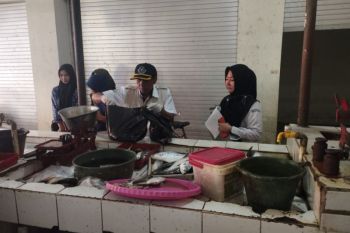 DKP Kulon Progo-BP2MHKP melakukan pengendalian mutu perikanan di pasar