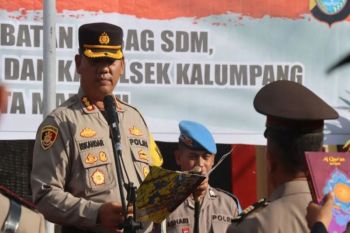Polresta Mamuju menangkap tiga pelaku peredaran obat-obatan terlarang