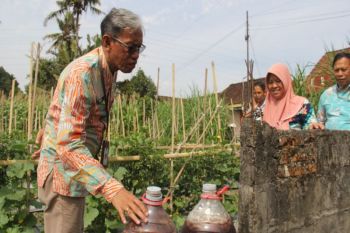 DP3 Sleman bantu petani praktikan budi daya cabai sehat