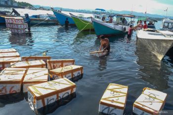 Pengamat sebut Presiden Prabowo bawa harapan baru bagi ekonomi maritim