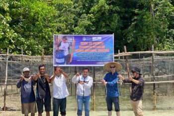 Konjen Australia di Makassar kunjungi budidaya teripang di Kepulauan Togean Sulteng