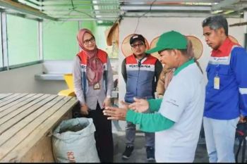 Program Sinergi Semambu dongkrak produktifitas pertanian dengan metode organik