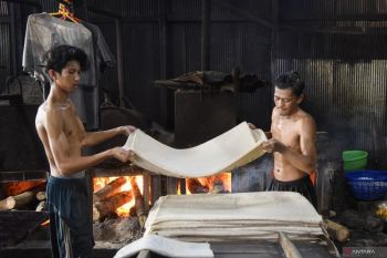 Alokasi APBN untuk KUR Kaltim Rp4,6 triliun ke 23.250 debitur