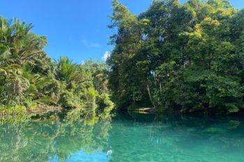 South Sorong's forest conservation: A global legacy