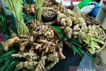 Disbudpar  Kudus bertekad jadikan rempah sebagai daya tarik wisata