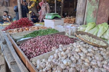 BI Lampung uji coba pengembangan hilirisasi komoditas bawang merah dan cabai