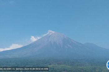 Gunung Semeru alami erupsi lagi dengan letusan hingga 800 meter