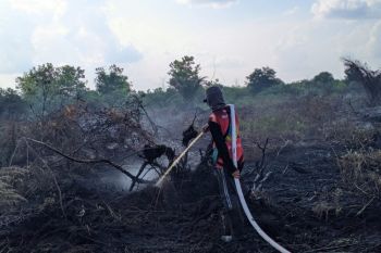 BBMKG: Terpantau 28 titik panas di sejumlah wilayah Sumatera Utara