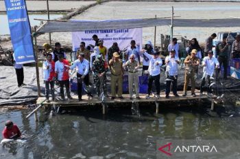 BPBAP Takalar panen ikan bandeng tiga ton pada peringatan HUT KKP