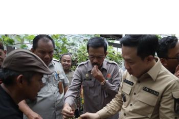 Pj Bupati Pringsewu hadiri bimtek budidaya anggur