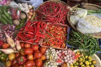 Harga pangan hari ini, cabai turun Rp2.550 menjadi Rp39.400 per kg