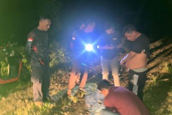 Polisi Agam tangkap dua pengedar narkotika di kebun sawit
