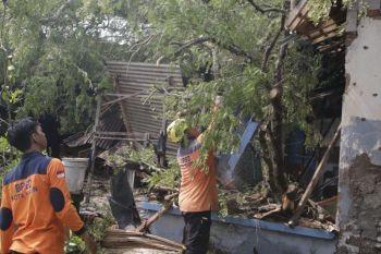 BPBD Madiun lakukan pendataan rumah rusak terdampak angin puting beliung