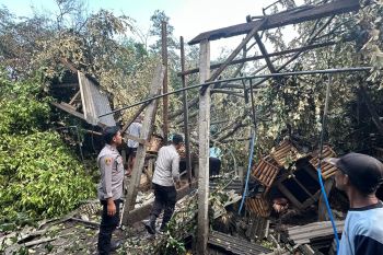 Seorang warga Blitar meninggal dunia terdampak hujan-angin kencang