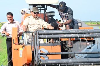 Presiden Prabowo tinjau tanam-panen padi di Merauke untuk swasembada pangan