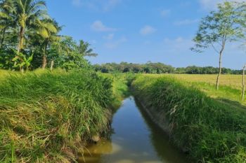 Kementerian PU rehabilitasi Daerah Irigasi Cibaliung Banten