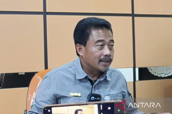 Perum Bulog Papua serap 12.511 ton beras petani Merauke