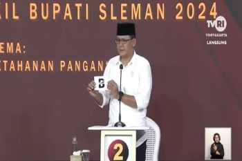 Danang Maharsa: Ekonomi perempuan berdaya, kunci turunkan KDRT