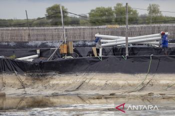 KKP berencana merevitalisasi lahan tambak terbengkalai di wilayah Pantai Utara Jawa