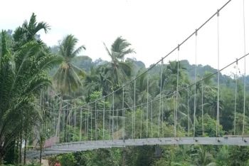 Bupati Dharmasraya tinjau perbaikan jembatan gantung lubuk karak