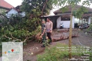 BPBD catat 24 rumah warga di Trenggalek rusak diterjang puting beliung