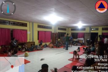 Delapan orang meninggal dunia akibat erupsi gunung Lewotobi di Flores