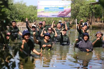 PNM Surabaya ajak BNI, Petrokimia dan PT SIER tanam mangrove